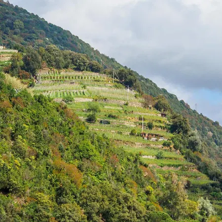 Tanca With Ac, Terrace And Views Villa Monterosso al Mare